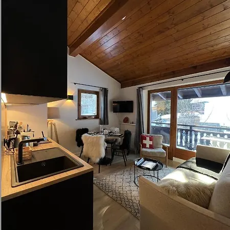 N5 - De L'ours - 4 Pers Apartment Megeve
