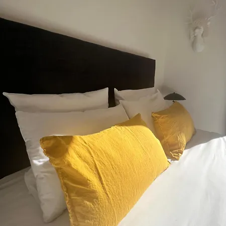 N5 - De L'ours - 4 Pers Apartment