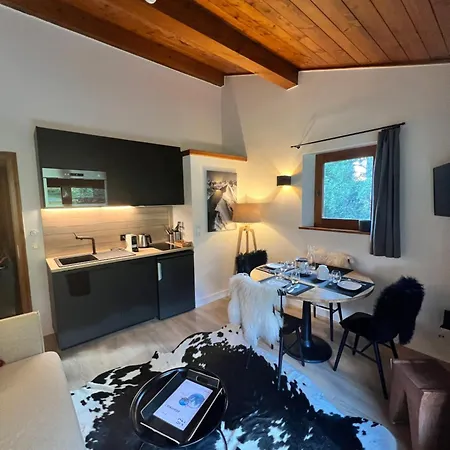 Apartment N5 - De L'ours - 4 Pers Megeve