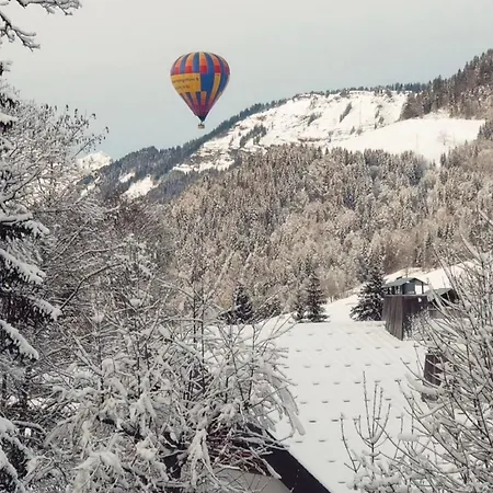N5 - De L'ours - 4 Pers Apartment Megeve