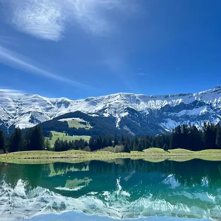N5 - De L'ours - 4 Pers * Megeve